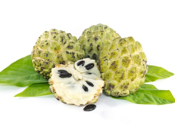 CUSTARD APPLE