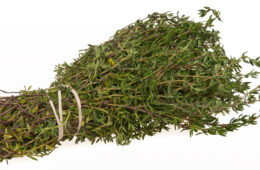 Thyme