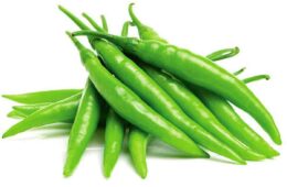 CHILLI GREEN LONG