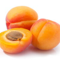 APRICOT