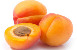 APRICOT