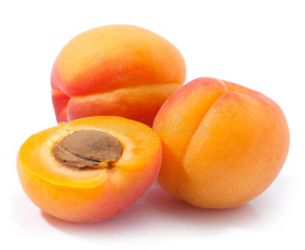 APRICOT