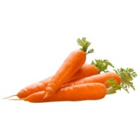 Carrot