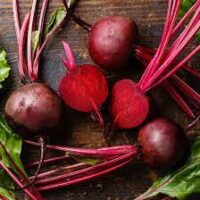 BEET ROOT